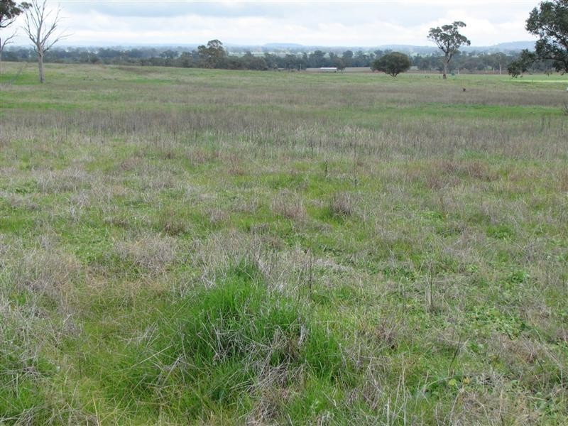 Lot 9 Cultowa Lane, Billimari NSW 2804