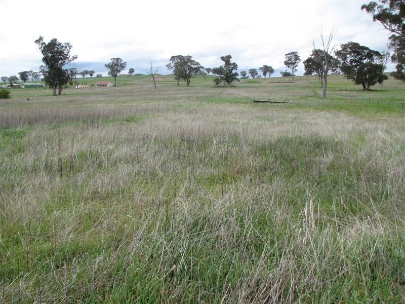 Lot 9 Cultowa Lane, Billimari NSW 2804