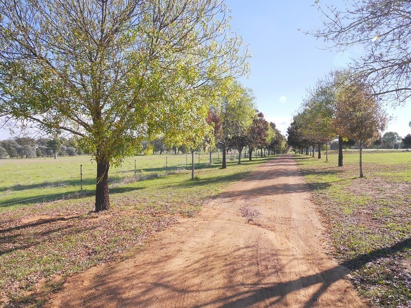 226 Elouera Road, Cowra NSW 2794