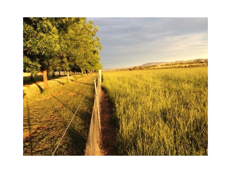 226 Elouera Road, Cowra NSW 2794