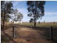 33 Waddell Street, Wattamondara NSW 2794