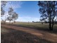 33 Waddell Street, Wattamondara NSW 2794
