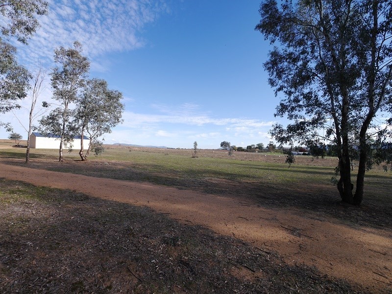 33 Waddell Street, Wattamondara NSW 2794