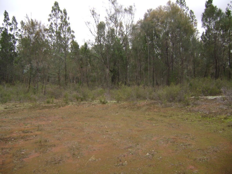 649 Pipe Clay Road, Koorawatha NSW 2807