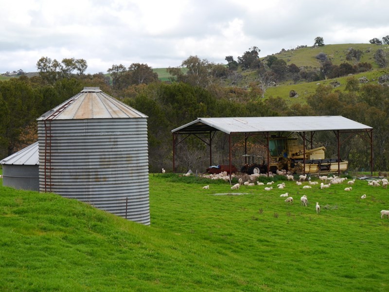 “Kember” 372 Rockall Road, Cowra NSW 2794