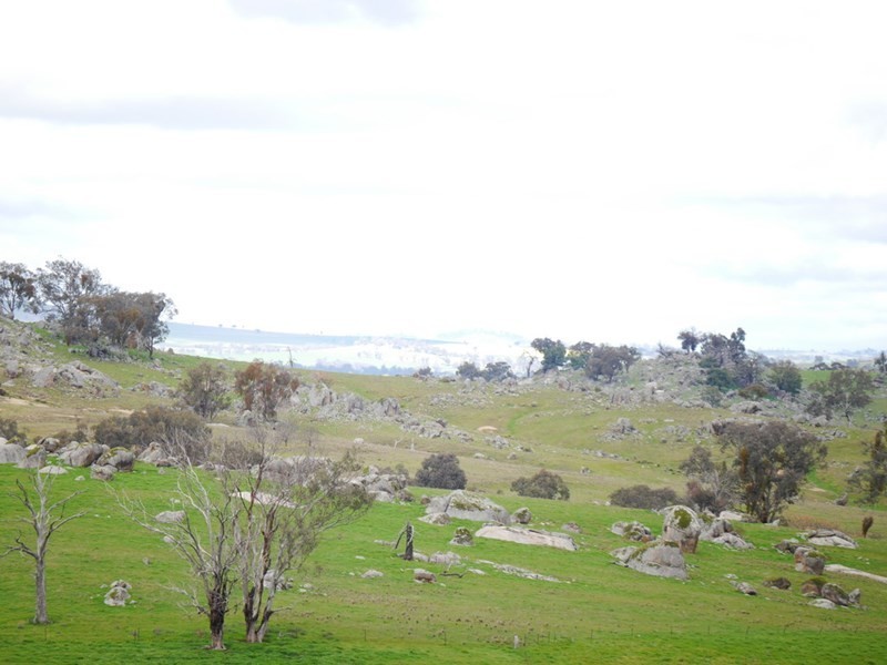 “Kember” 372 Rockall Road, Cowra NSW 2794