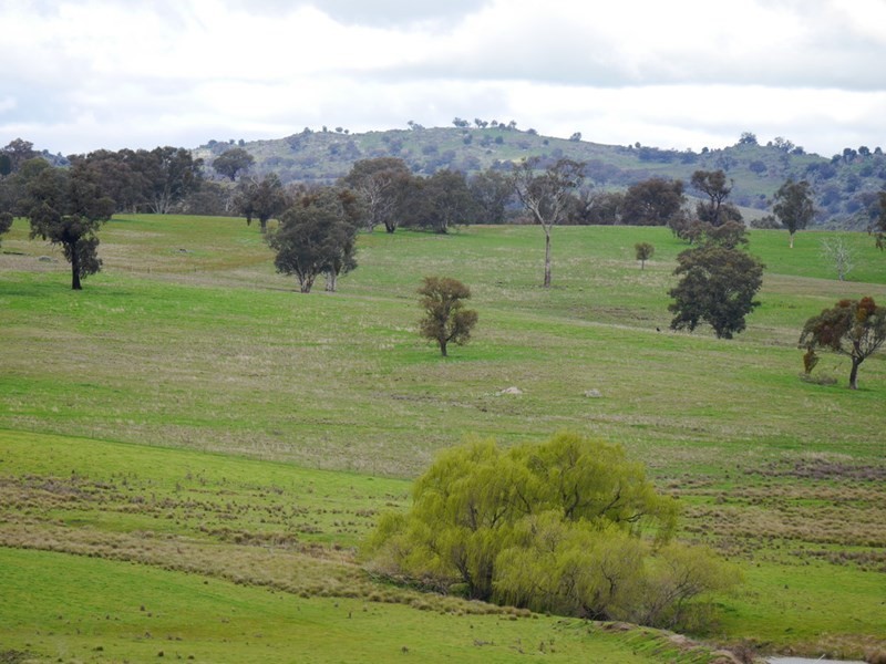 “Kember” 372 Rockall Road, Cowra NSW 2794