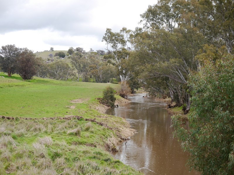 “Kember” 372 Rockall Road, Cowra NSW 2794
