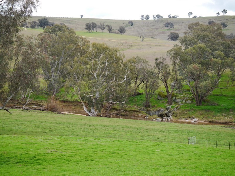 “Kember” 372 Rockall Road, Cowra NSW 2794