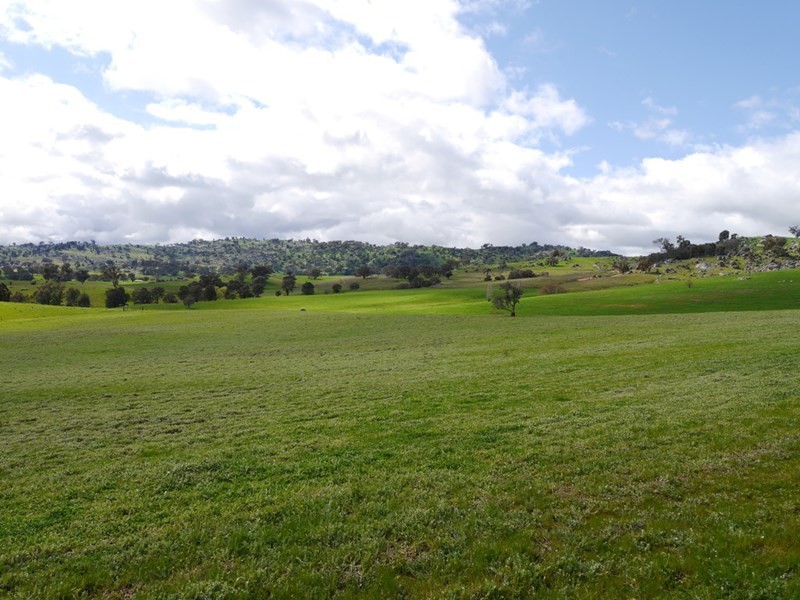 “Kember” 372 Rockall Road, Cowra NSW 2794