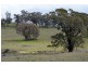 Lot 2 Kingfield Road, Woodstock NSW 2793