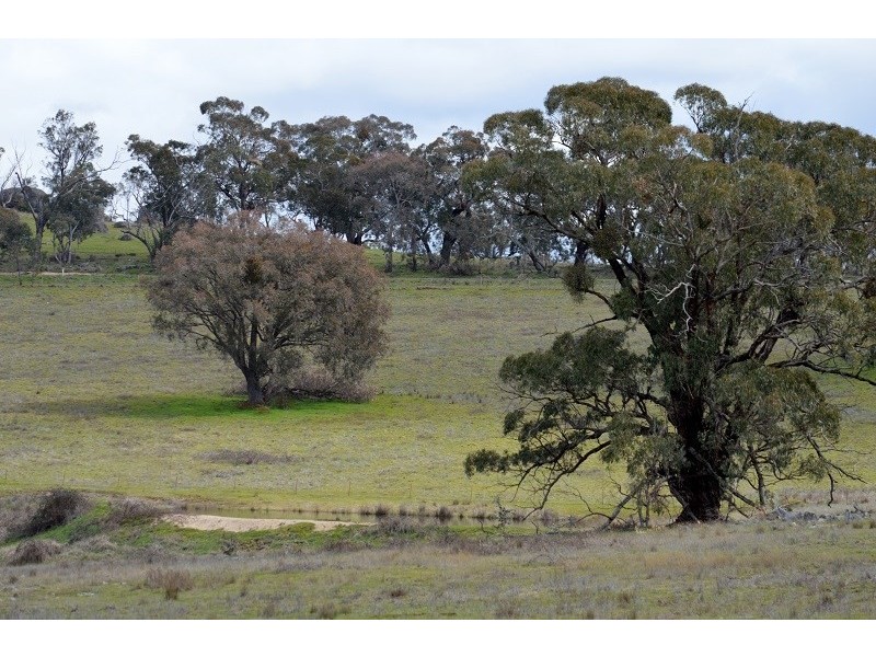Lot 2 Kingfield Road, Woodstock NSW 2793