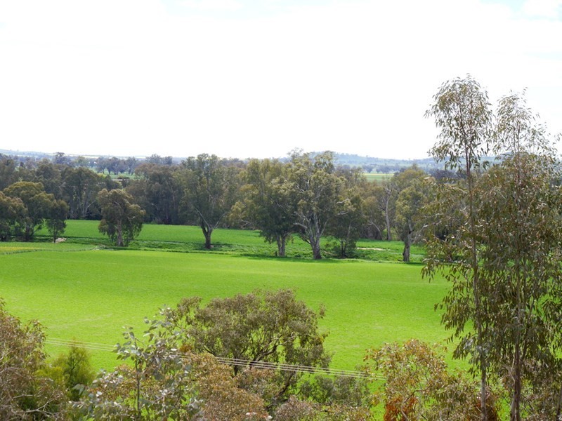 1628 Lachlan Valley Way, Cowra NSW 2794