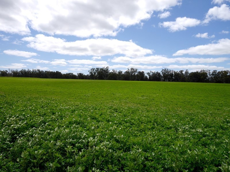 1628 Lachlan Valley Way, Cowra NSW 2794