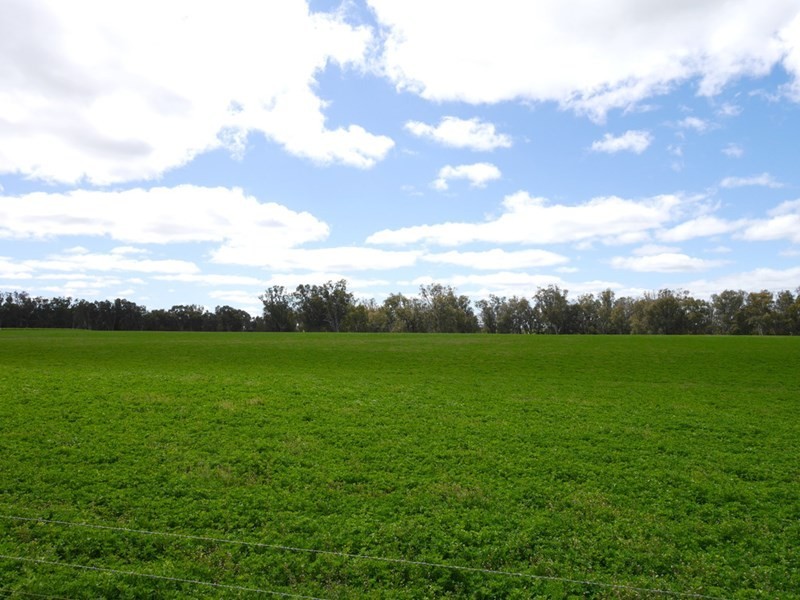 1628 Lachlan Valley Way, Cowra NSW 2794