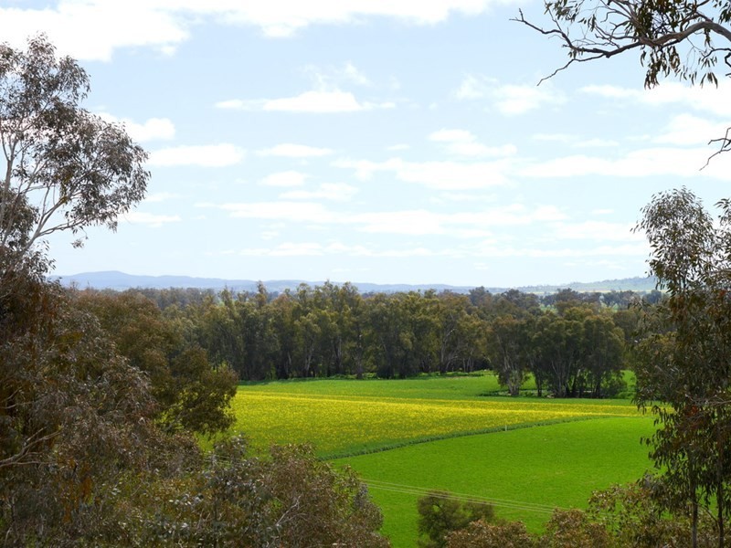 1628 Lachlan Valley Way, Cowra NSW 2794