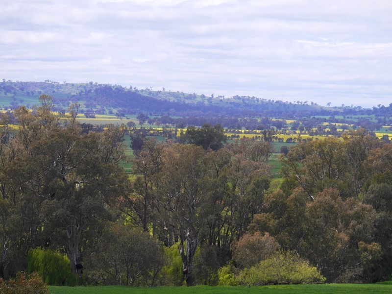 1628 Lachlan Valley Way, Cowra NSW 2794