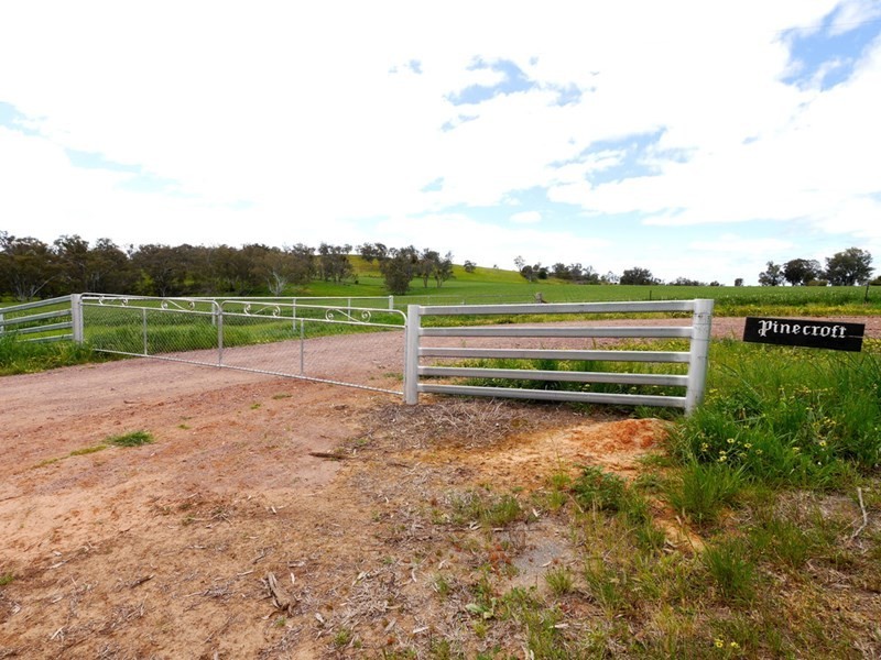 1628 Lachlan Valley Way, Cowra NSW 2794