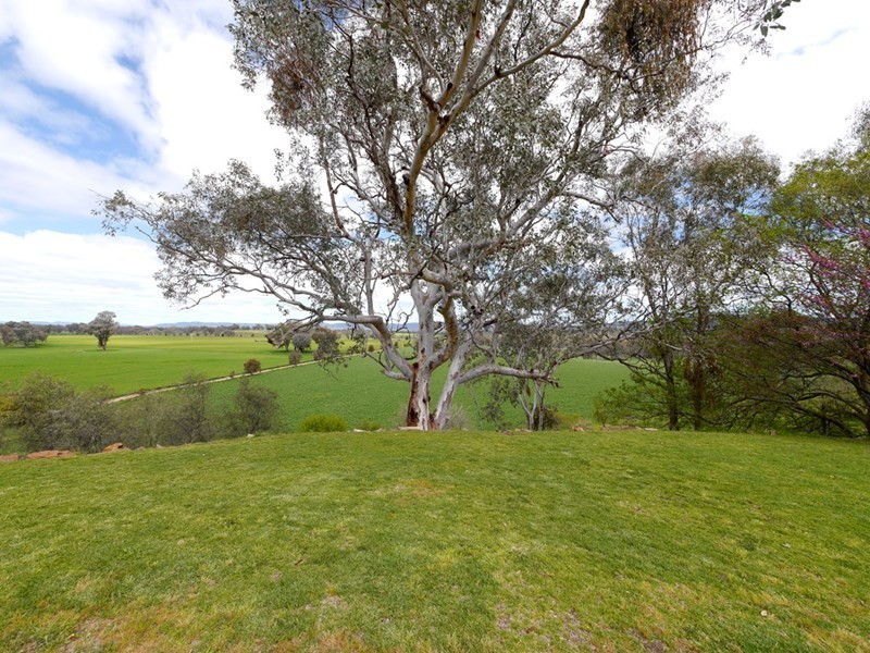1628 Lachlan Valley Way, Cowra NSW 2794