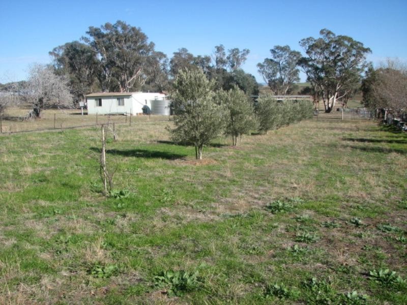 Lot 61 Pine Mount Road, Cowra NSW 2794