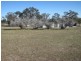 Lot 61 Pine Mount Road, Cowra NSW 2794