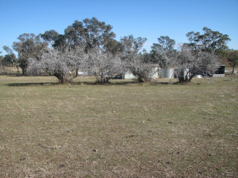 Lot 61 Pine Mount Road, Cowra NSW 2794
