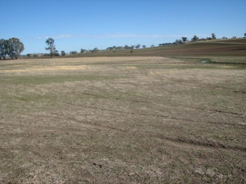 Lot 61 Pine Mount Road, Cowra NSW 2794