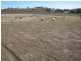 Lot 61 Pine Mount Road, Cowra NSW 2794