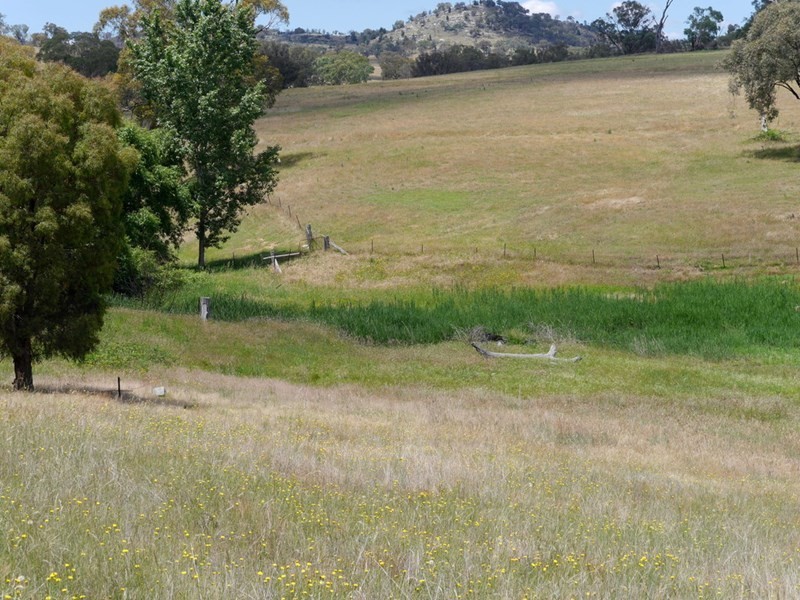 Lot 1 Bullfrog Road, Woodstock NSW 2793