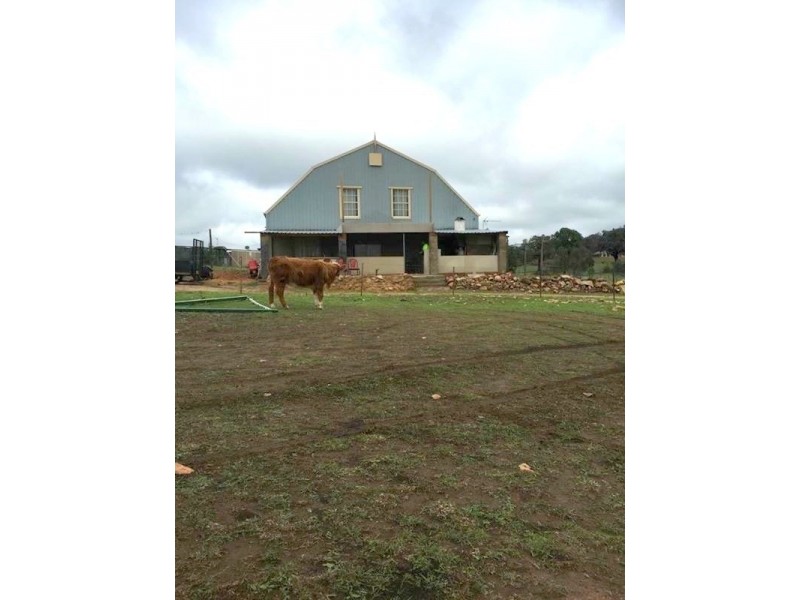 534 Stoney Hill Road, Cowra NSW 2794