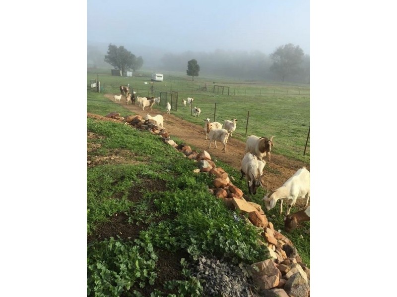 534 Stoney Hill Road, Cowra NSW 2794