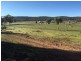 534 Stoney Hill Road, Cowra NSW 2794