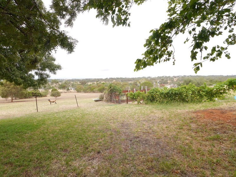 151 Willawong Street, Young NSW 2594