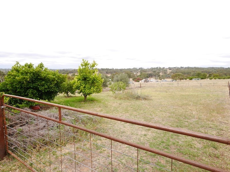 151 Willawong Street, Young NSW 2594