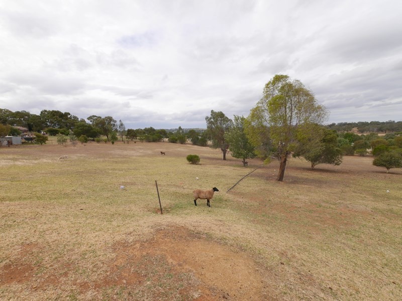 151 Willawong Street, Young NSW 2594