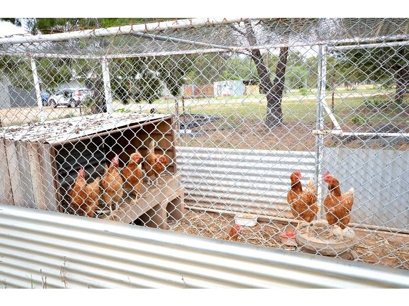 30 Brookman Road, Canowindra NSW 2804