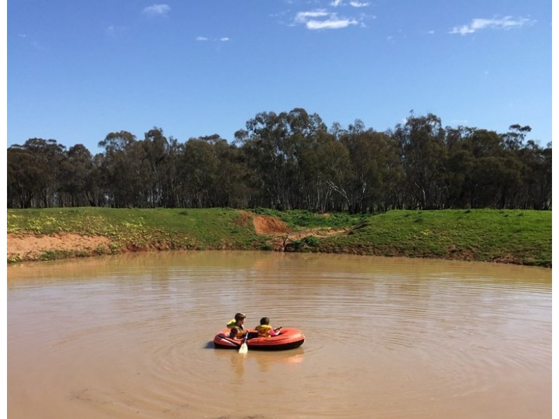 30 Brookman Road, Canowindra NSW 2804