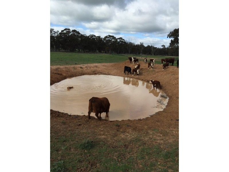 30 Brookman Road, Canowindra NSW 2804