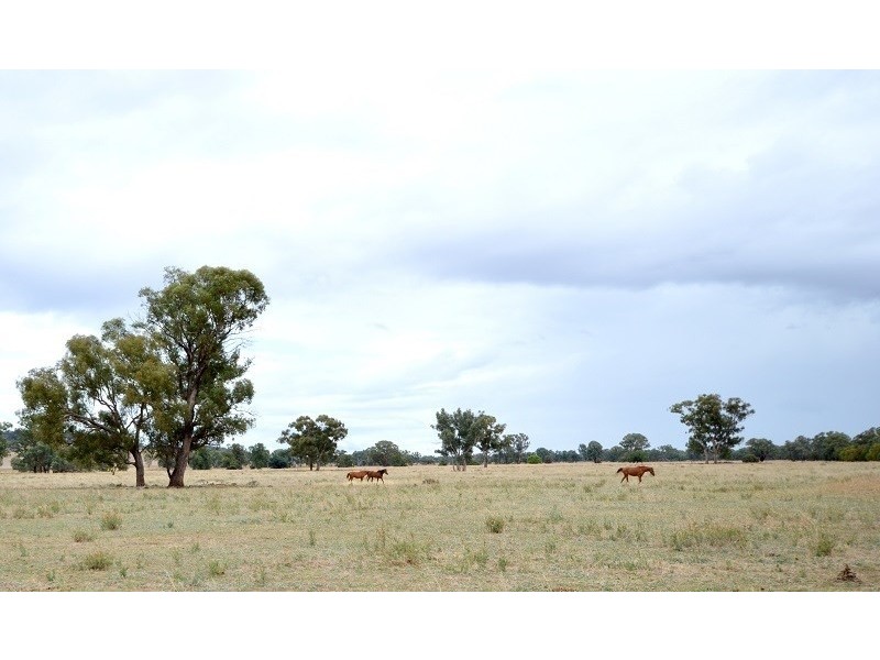 30 Brookman Road, Canowindra NSW 2804