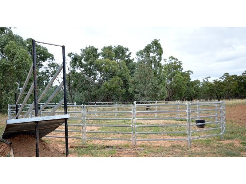 30 Brookman Road, Canowindra NSW 2804
