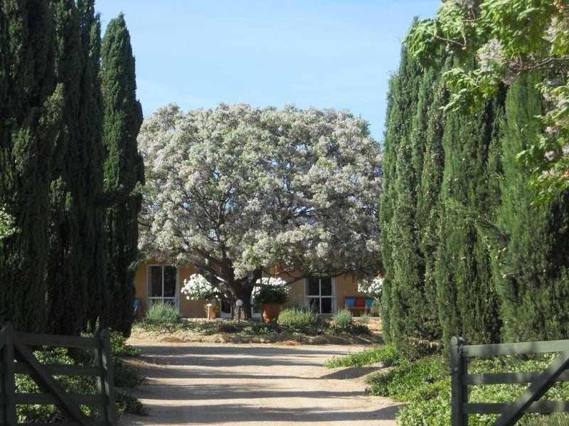 32 Quarry Road, Canowindra NSW 2804