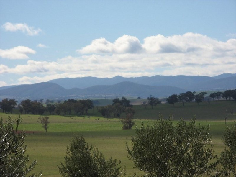 32 Quarry Road, Canowindra NSW 2804