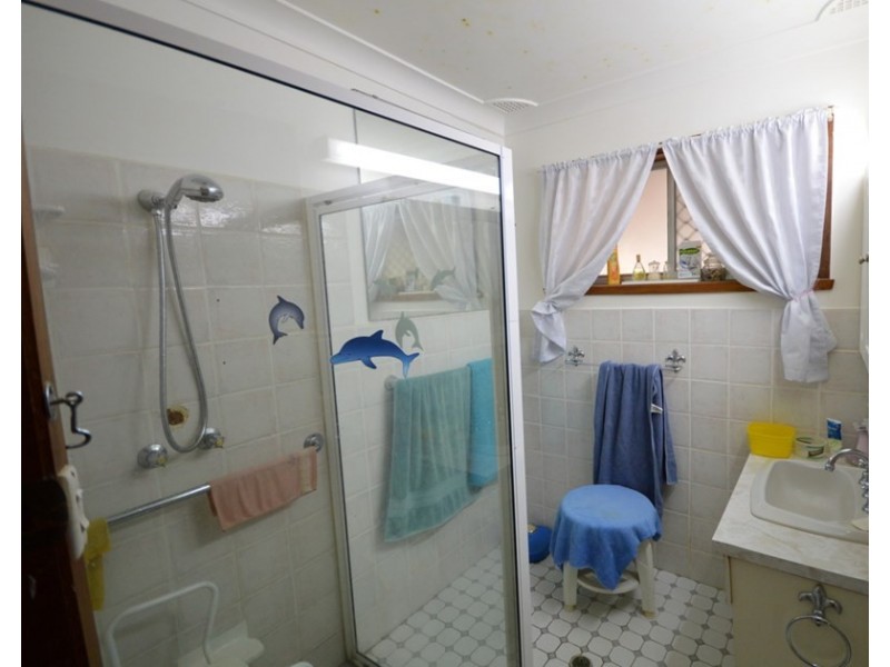 66 Rodd Street, Canowindra NSW 2804