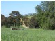 Lot 28 Kangaroo Flat Road, Cowra NSW 2794