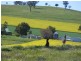 Lot 28 Kangaroo Flat Road, Cowra NSW 2794