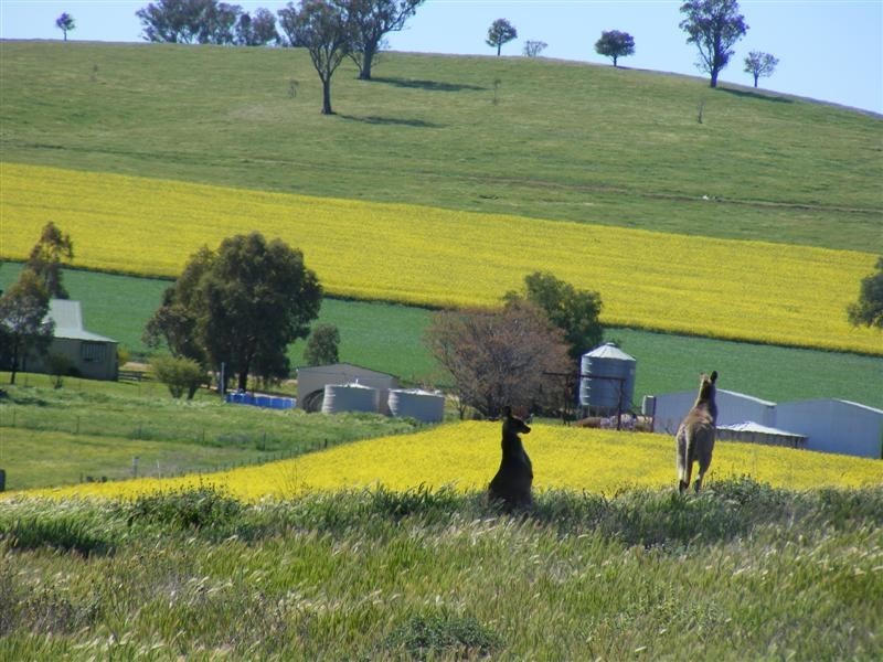Lot 28 Kangaroo Flat Road, Cowra NSW 2794