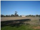 Cowra NSW 2794