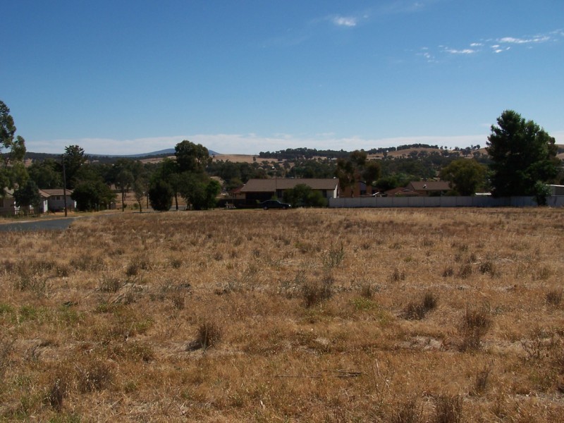 Lot 25 West Street, Grenfell NSW 2810