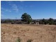 Lot 25 West Street, Grenfell NSW 2810