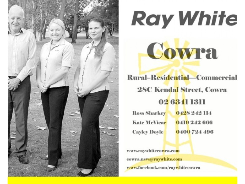 20 Waddell Street, Canowindra NSW 2804